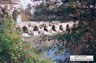 Pont romain sur le Dropt  la Sauvetat (65 ko)